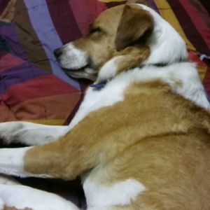 Meet your Posher, Miranda