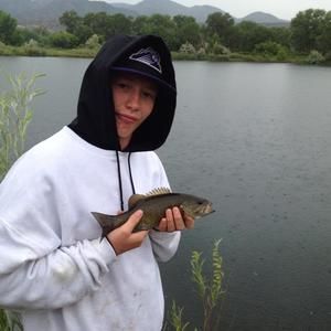 Meet your Posher, Ryan