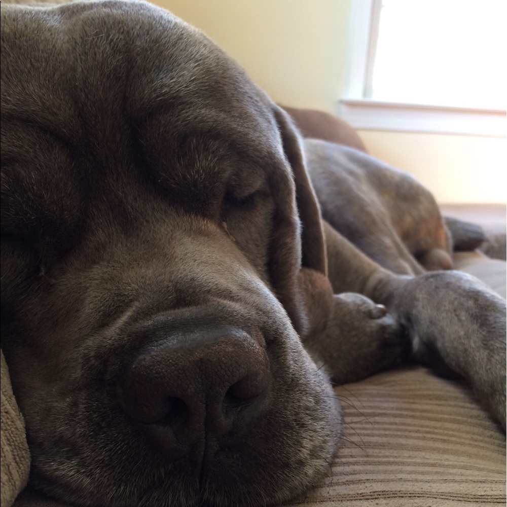 Meet your Posher, Michelle