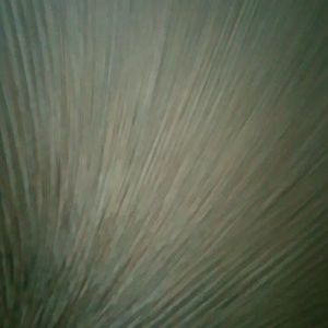 Meet your Posher, Saivien