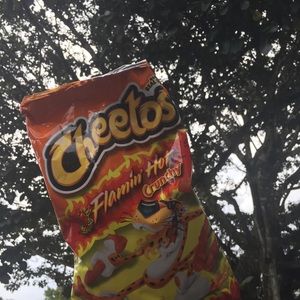 Meet your Posher, Daisy