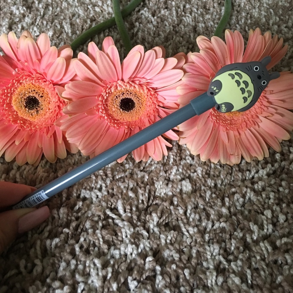 New Totoro pen.❤️