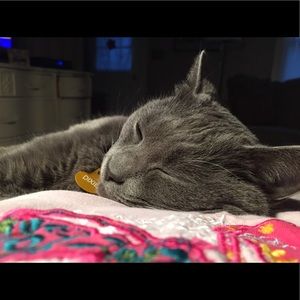 Meet your Posher, Kay