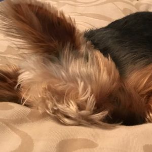 Meet your Posher, Erika