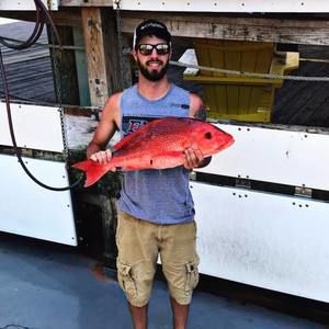 Meet your Posher, Seth