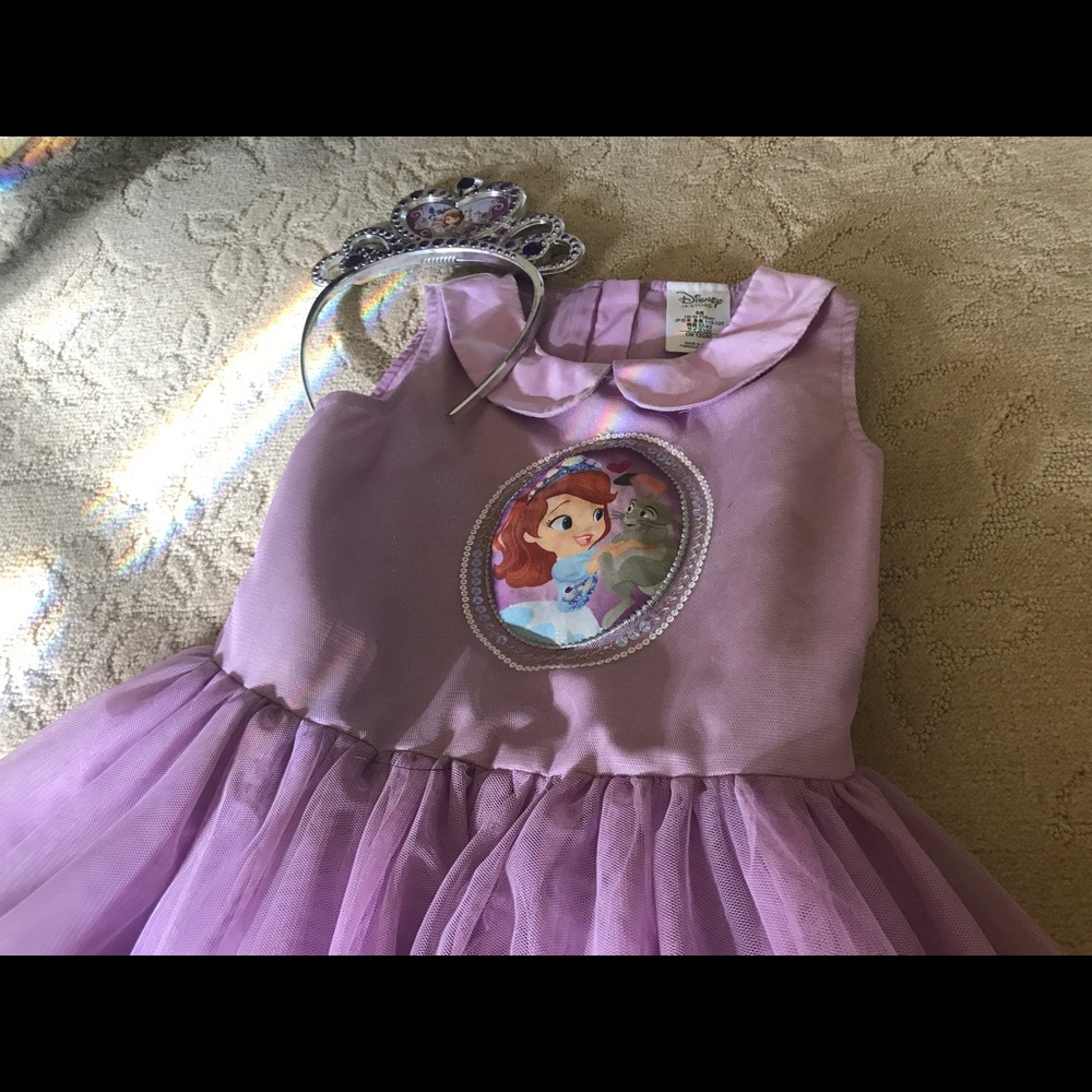 Disney princess Sophia costume toddler.