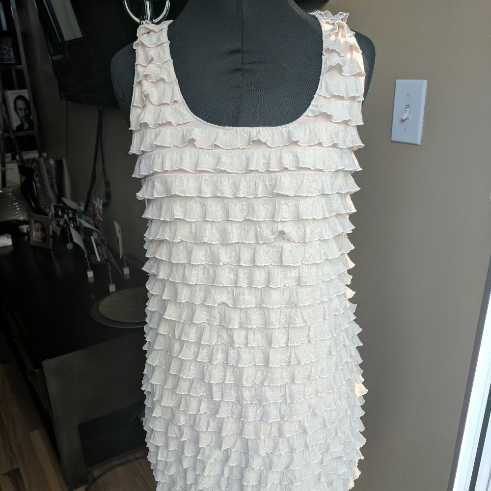 **Sale** Zara garden party dress 🌸