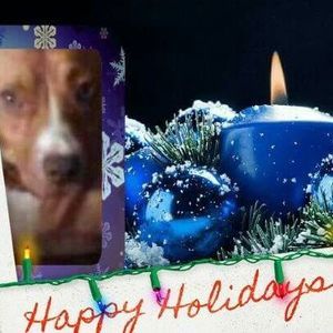 Meet your Posher, Marcella