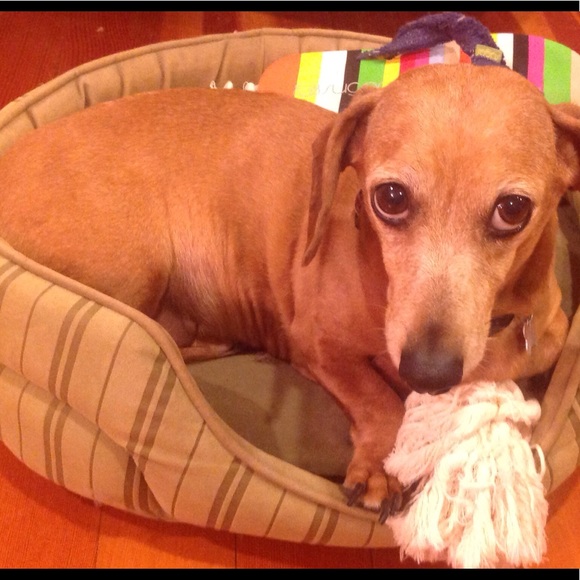 Meet your Posher, Carol - Picture 2 of 2