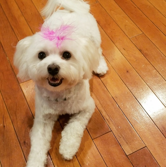 We are busy today. Adding new items and markdowns - Picture 1 of 1