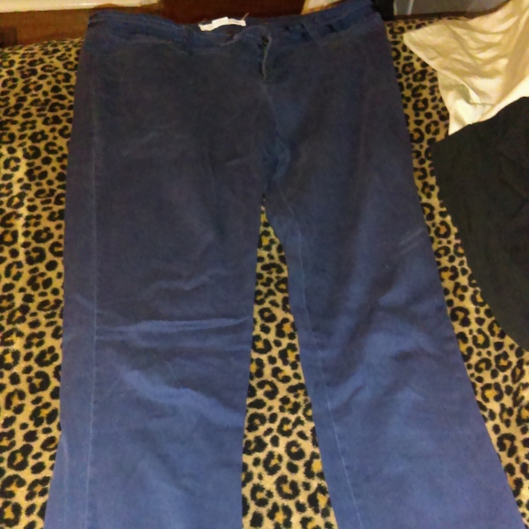 Blue pants - Picture 1 of 2