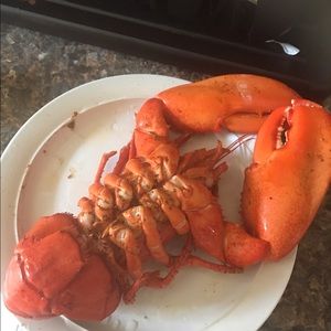 Meet your Posher, Ernest