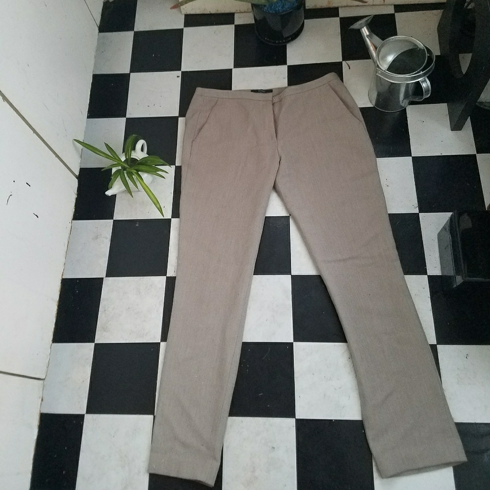 tahari slacks