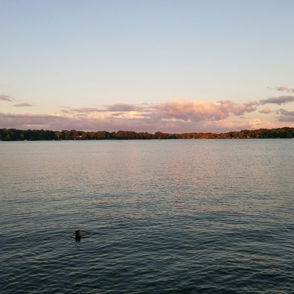 Meet your Posher, Liz