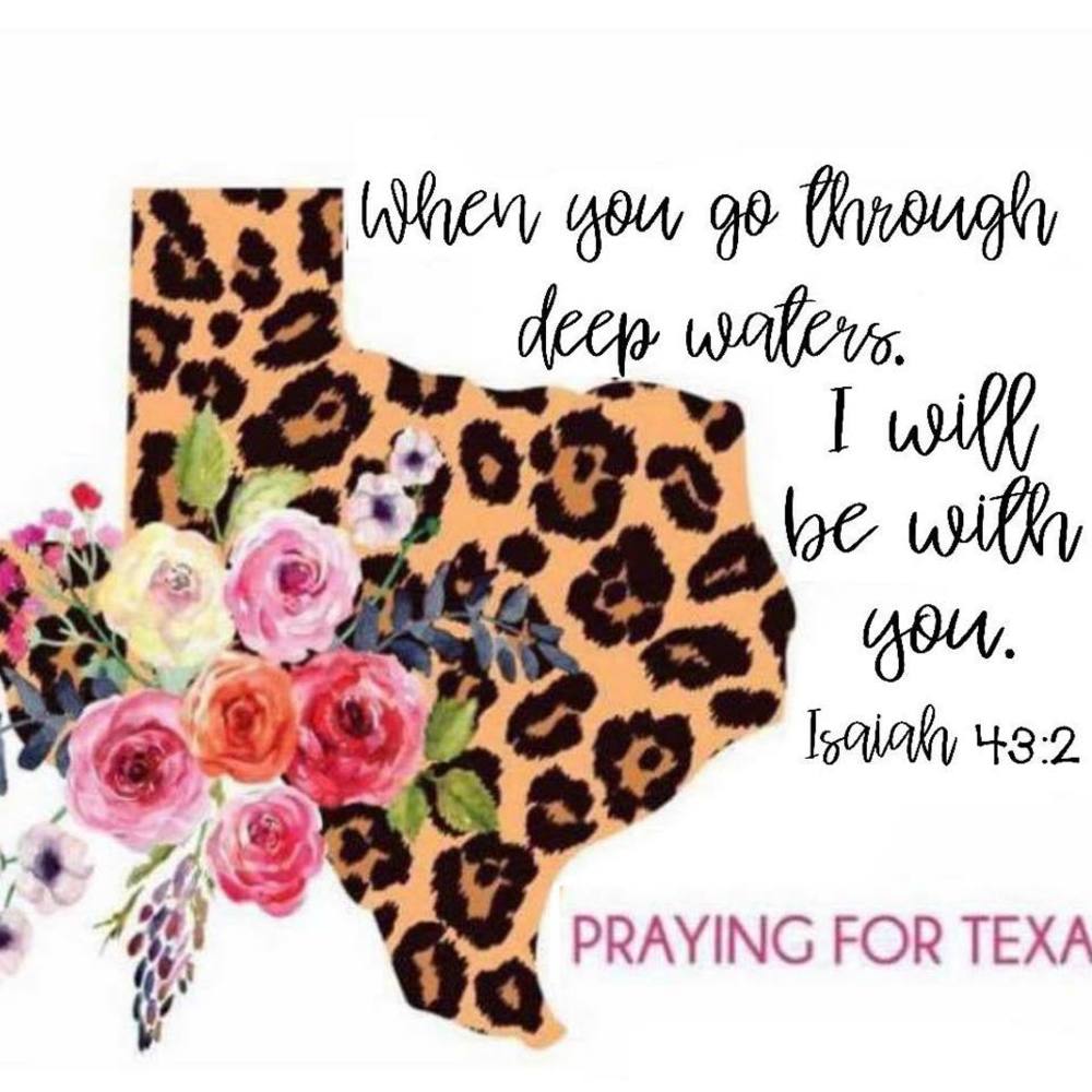 Meet your Posher, Ashlee