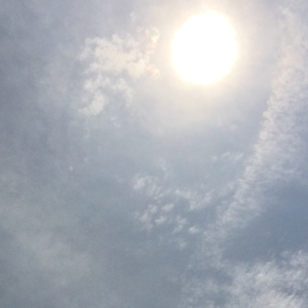 Meet your Posher, Katy