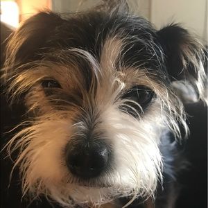 Meet your Posher, Mario