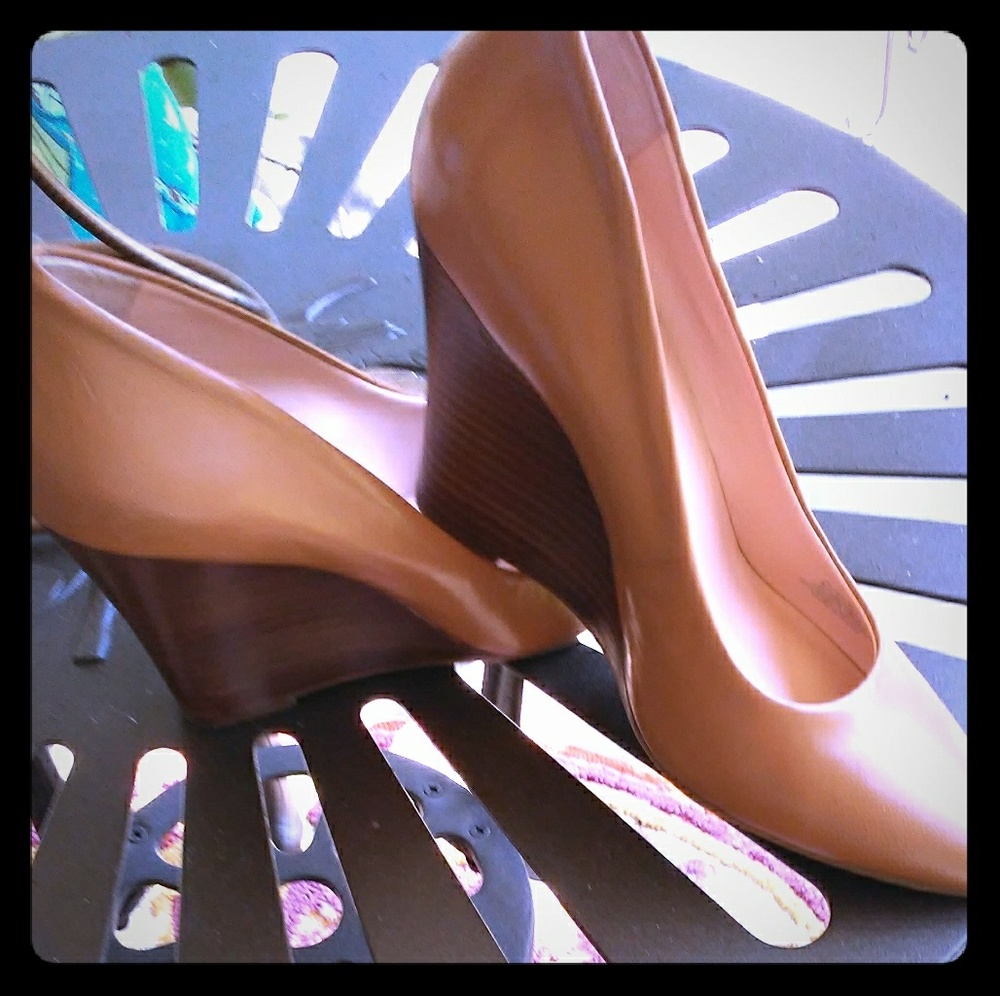 Camel pump with wedge heel