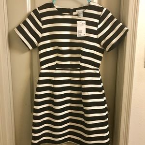 H&M fitted dress