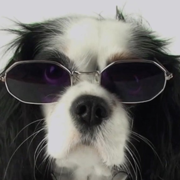 Meet your Posher, Jocelyn - Picture 1 of 1