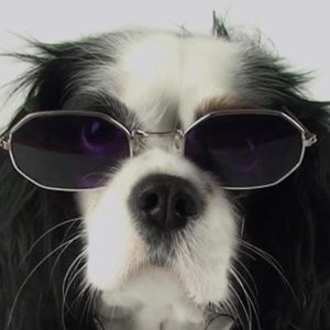 Meet your Posher, Jocelyn