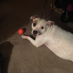 Meet your Posher, Kevin