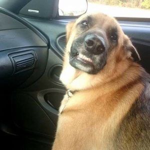 Meet your Posher, Danny