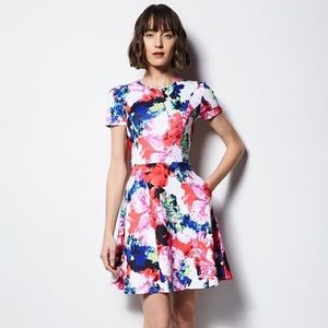 Milly x Design Nation Floral Scuba Dress