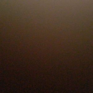 Meet your Posher, Roylan