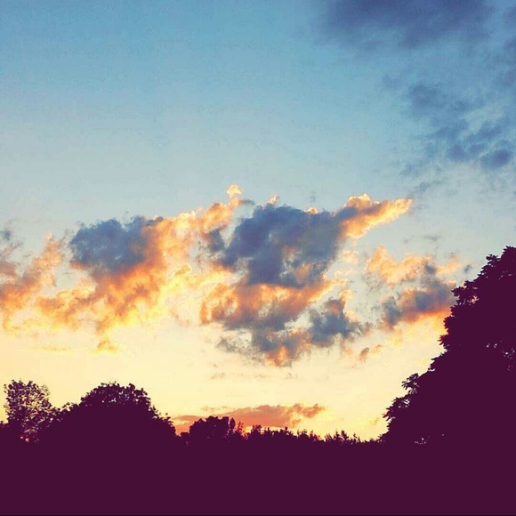 Meet your Posher, Colin - Picture 1 of 1