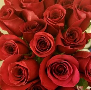 Meet your Posher, Tania