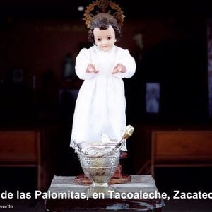 Meet your Posher, Omar