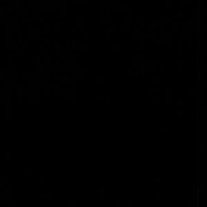 Meet your Posher, Paulette