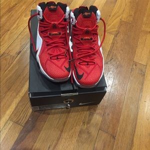 Barely used Lebron XII heart of a lion