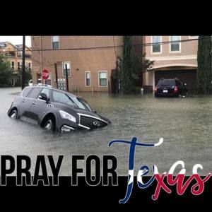 Meet your Posher, Rogelio