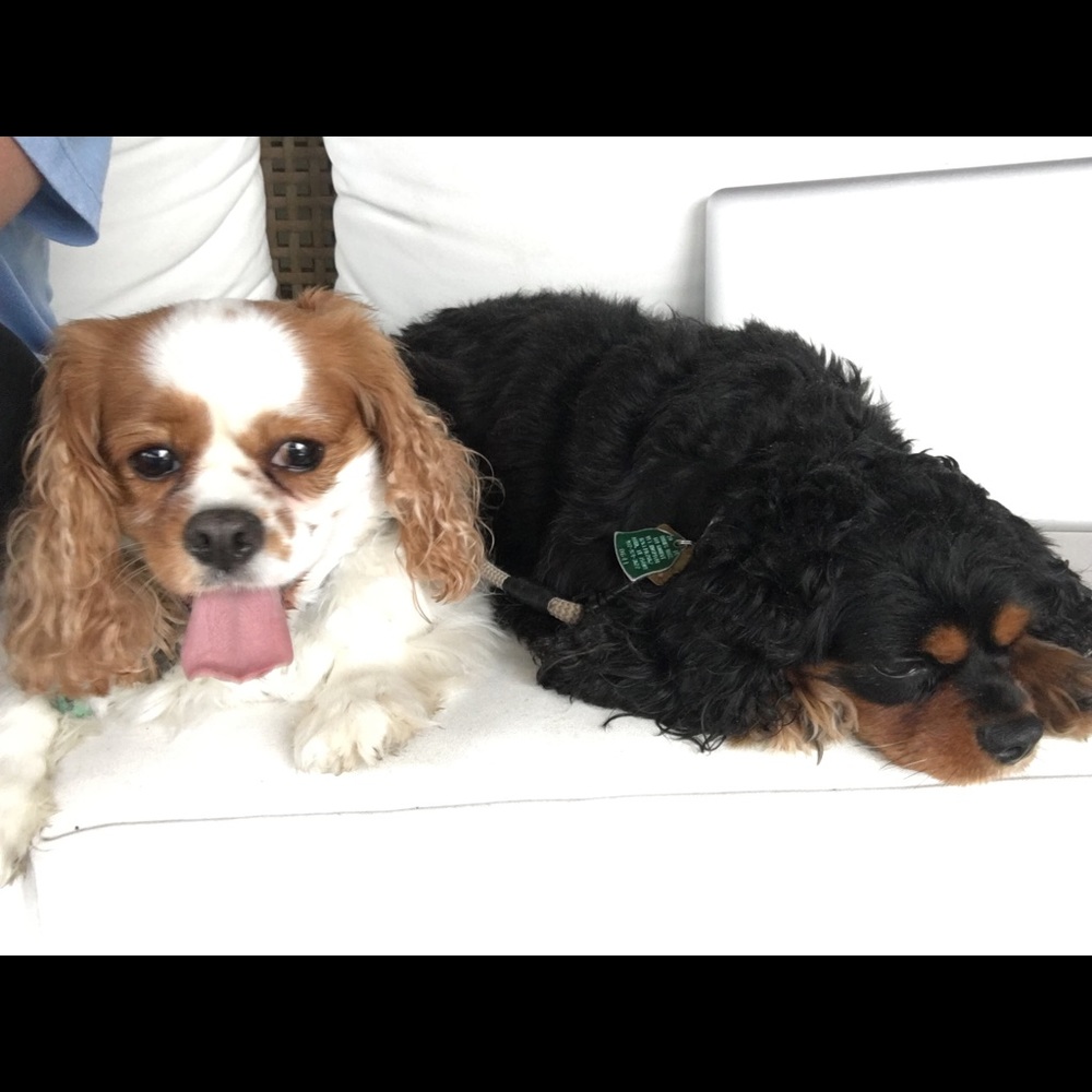 Meet your Posher, Kristi