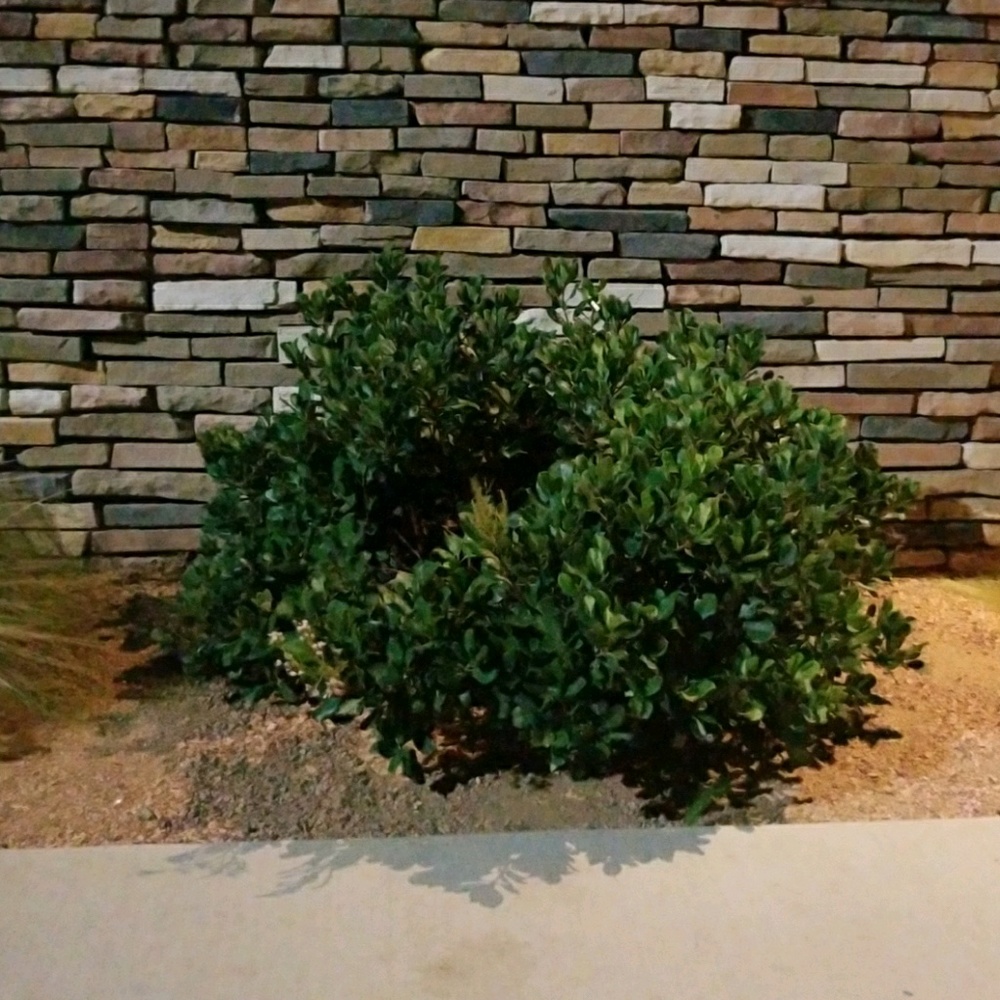 Meet your Posher, Jared