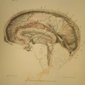 Meet your Posher, Richelle