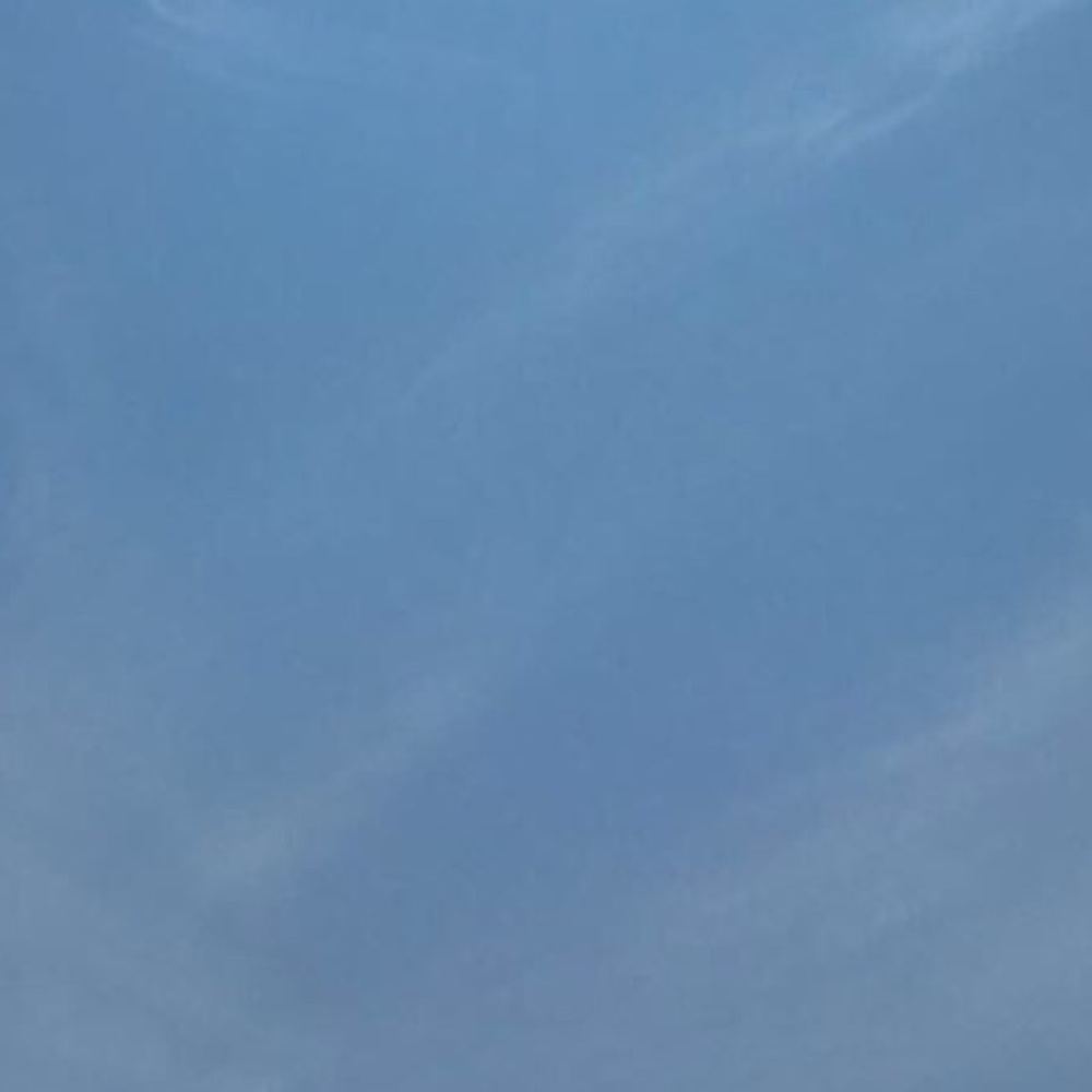 Meet your Posher, Claire