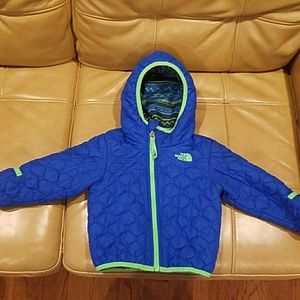 Northface Blue reversible quilted coat 18-24 month