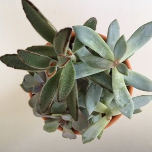 Meet your Posher, Marion