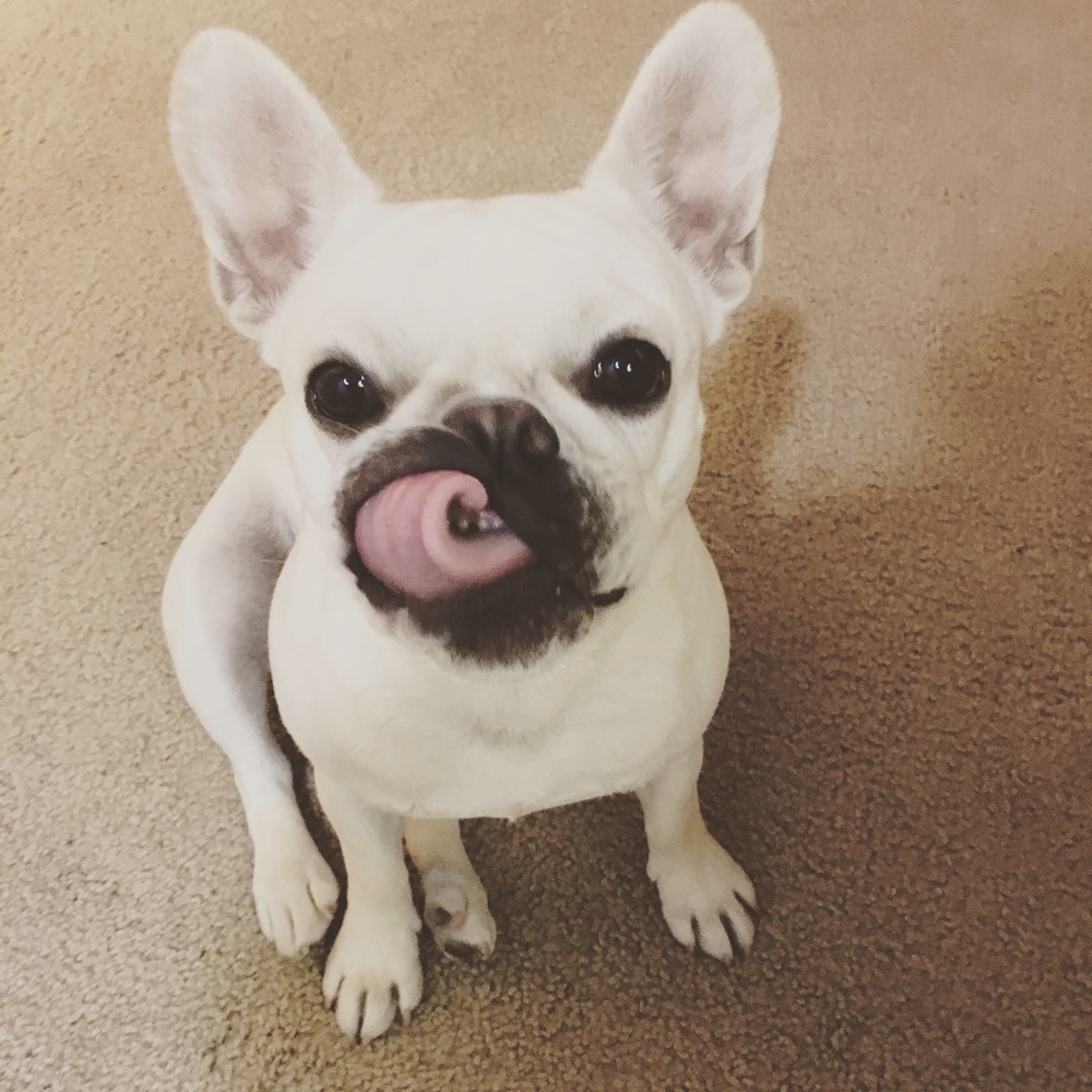 Meet your Posher, Kalyca