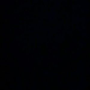 Meet your Posher, Regina