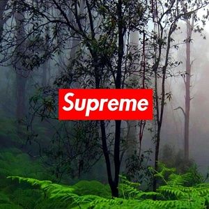 Meet your Posher, Eduardo