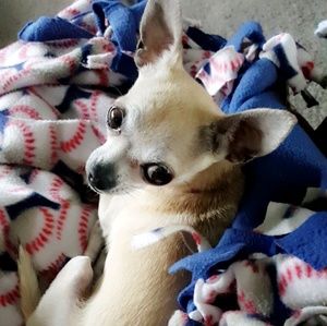 Meet your Posher, Tina