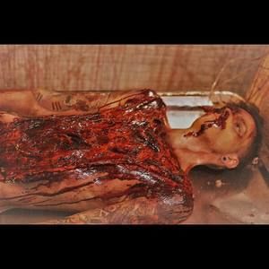 Meet your Posher, Torin