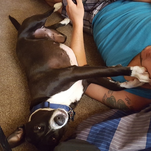 Meet Your Posher, Paige! - Picture 6 of 8