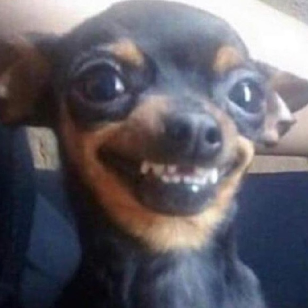 Meet your Posher, Aimee