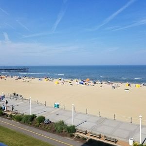 Meet your Posher, Paulina