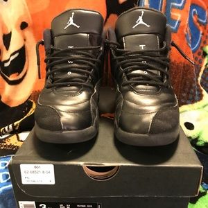 Jordan retro 12 size 3
